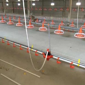 平養(yǎng)料線水線完工圖