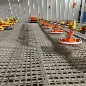 平養(yǎng)料線水線實際圖