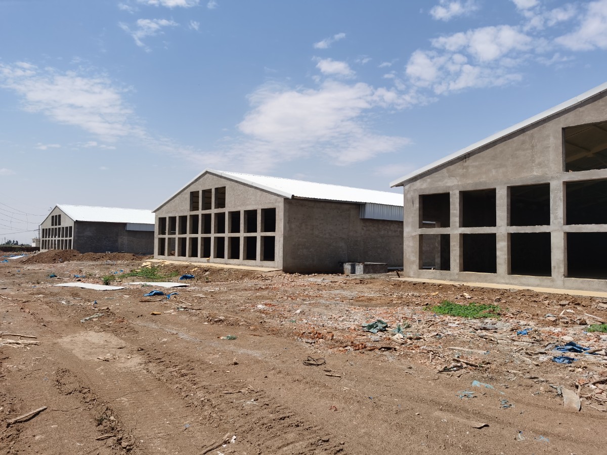 e79d8cf36ea8c6ad1bd342bc113294e.jpg e79d8cf36ea8c6ad1bd342bc113294e.jpg